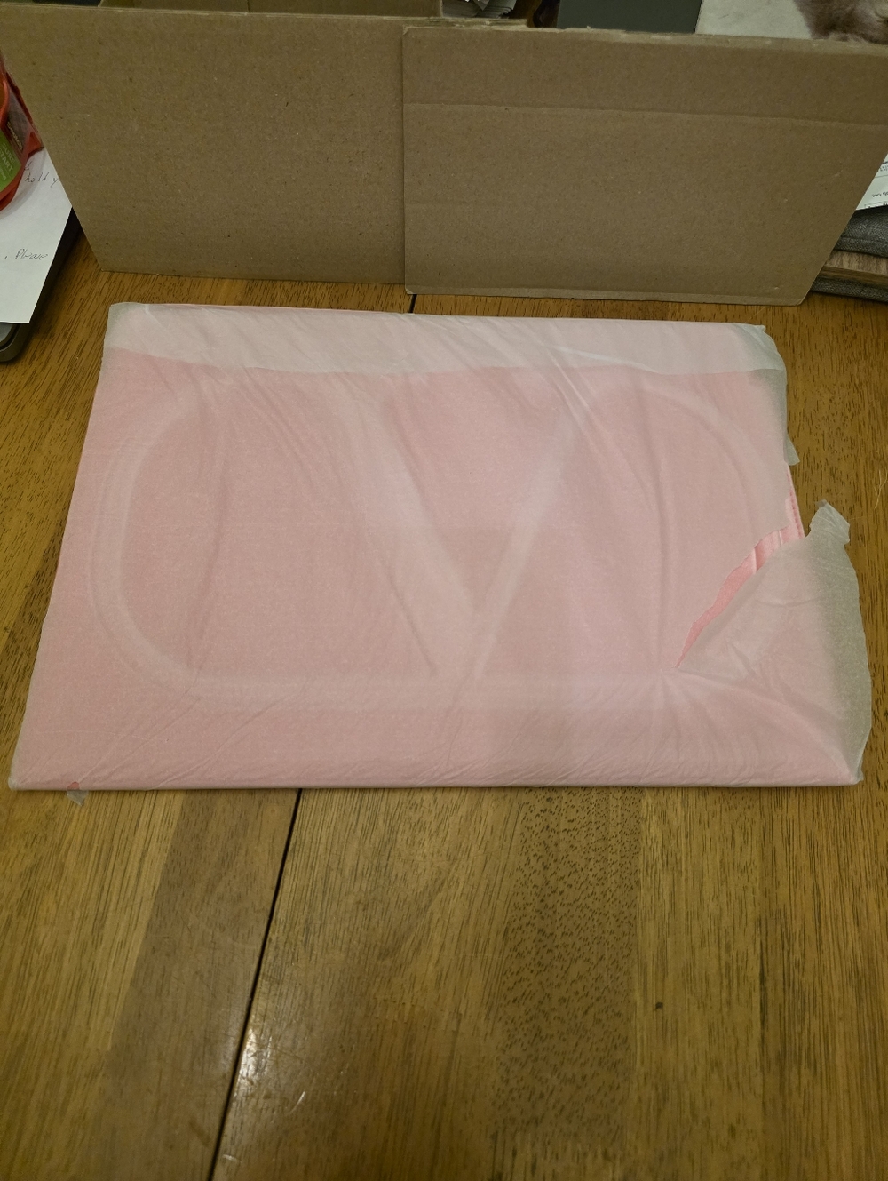 VALENTINO PINK SOFT PLUSH LAPTOP CASE. NEW STILL IN TISSUE WRAPPED. - Picture 3 of 6